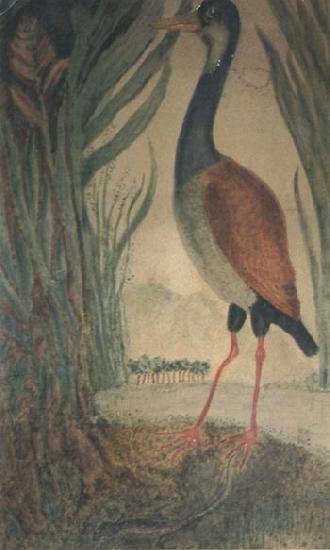 Henri Rousseau Wader Norge oil painting art